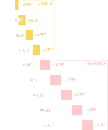 入社祝い金支給例グラフ