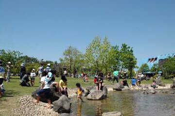 アウトドアなら金魚と鯉の郷広場